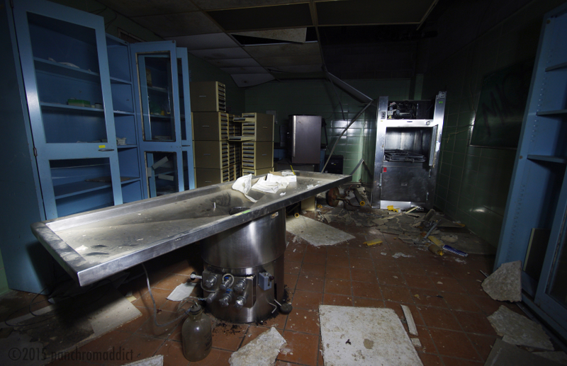 Illustration for article titled Photo of the Day: Bring Out Your Dead